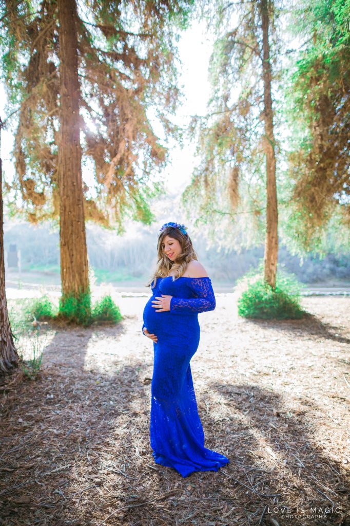 Forest Maternity, Blue Maternity Dress