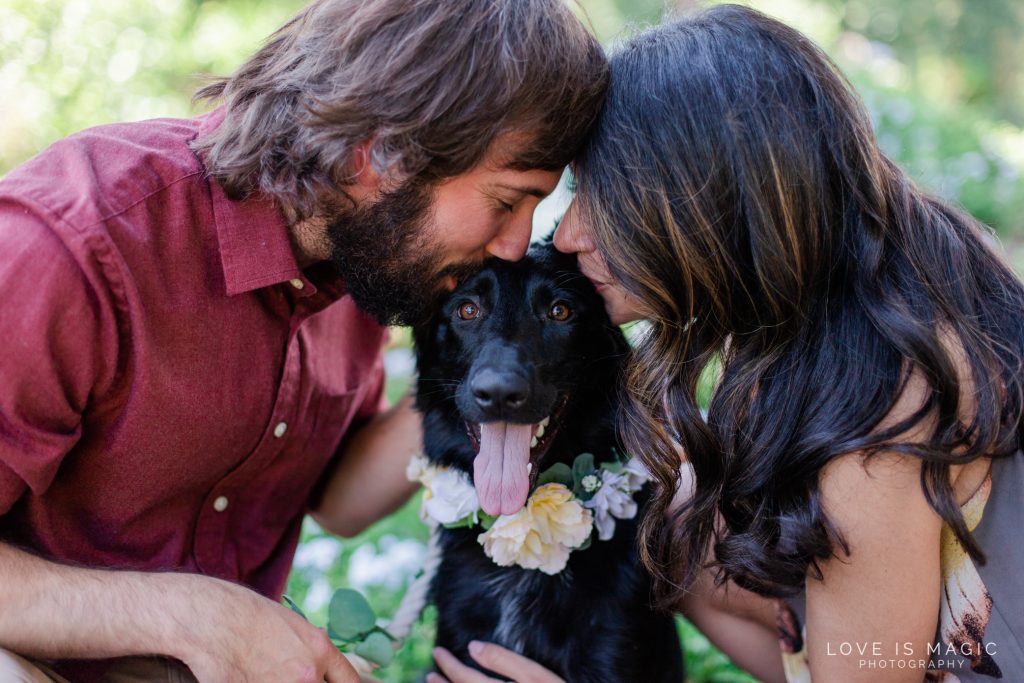 Couple Photos, Dog Photos, Pet photos, include your dog in engagement photos