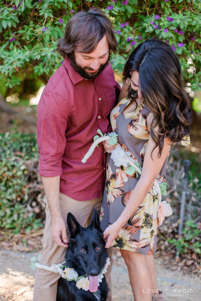 Couple Photos, Dog Photos, Pet photos, include your dog in engagement photos