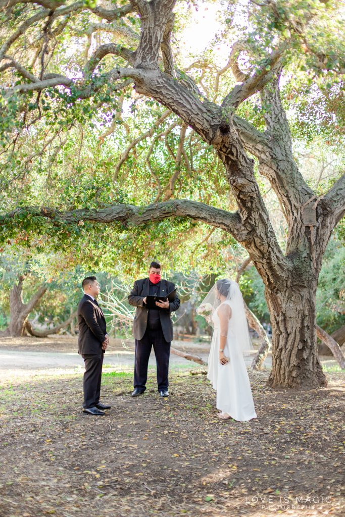 Oak Canyon Nature Center Wedding Photos