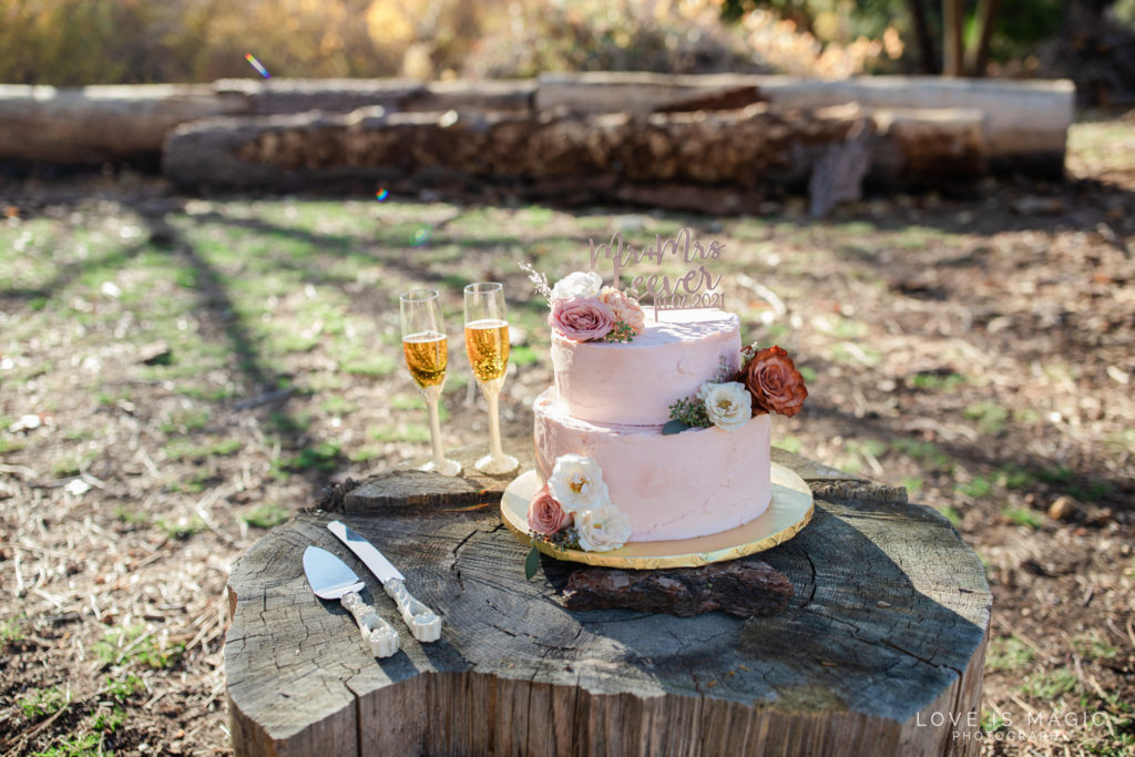 Cake on a stump in the forest