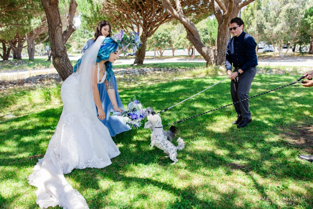 Long Beach Wedding, Doubletree by Hilton San Pedro Wedding, Long Beach Photographer, Hilton Hotel Wedding, Luxury Wedding Long Beach Wedding, Doubletree by Hilton San Pedro Wedding, Long Beach Photographer, Hilton Hotel Wedding, Luxury Wedding