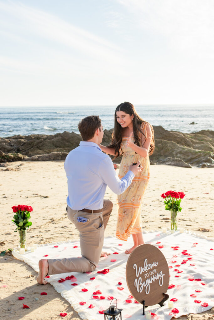 Laguna Beach Proposal photo